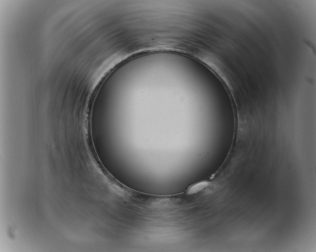 X0000103491093200809191916