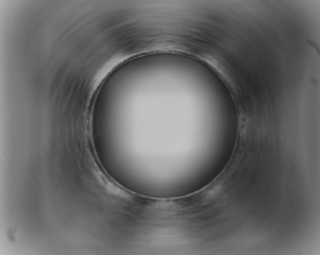 X0000103491094200809191916