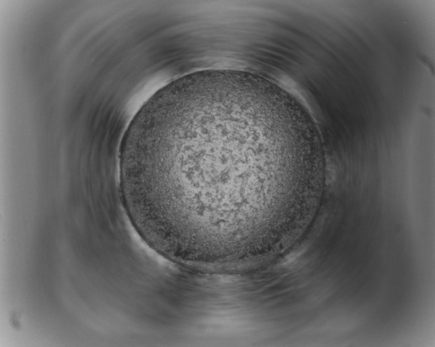 X0000103491095200809191916