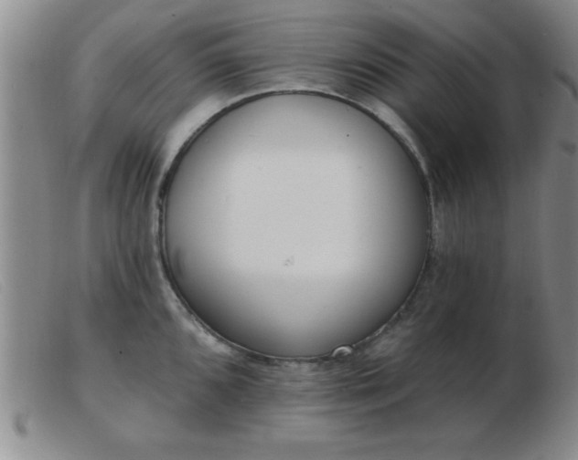 X0000103491096200809191916