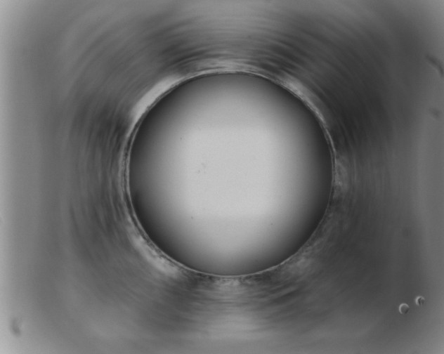 X0000103491098200809191916