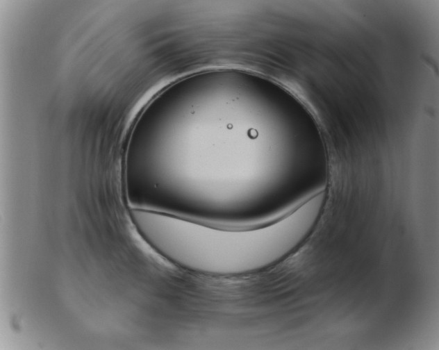 X0000103491100200809191916