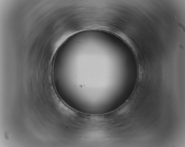 X0000103491102200809191916