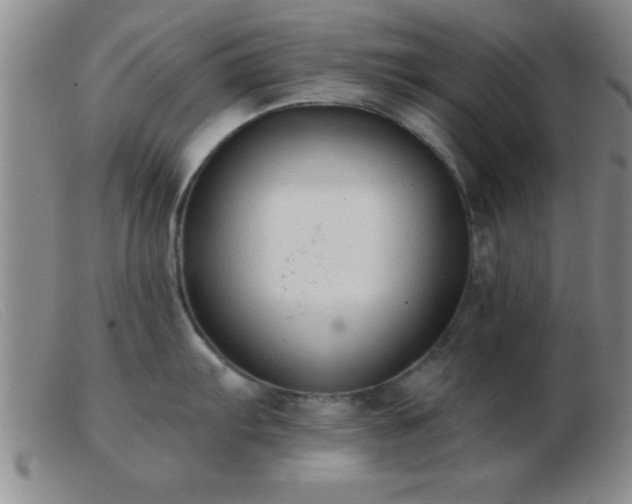 X0000103491103200809191916