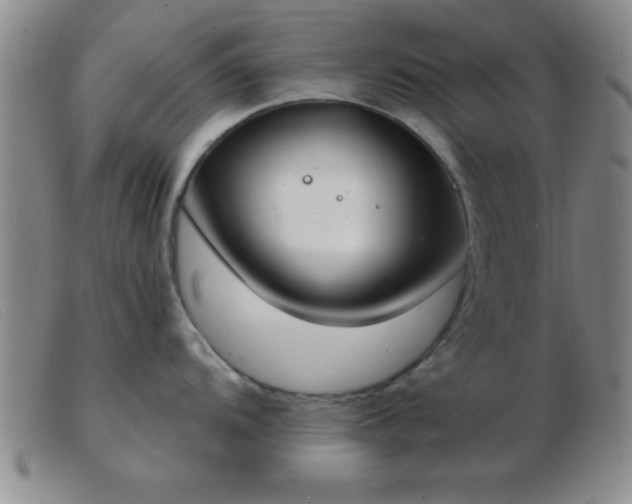 X0000103491104200809191916