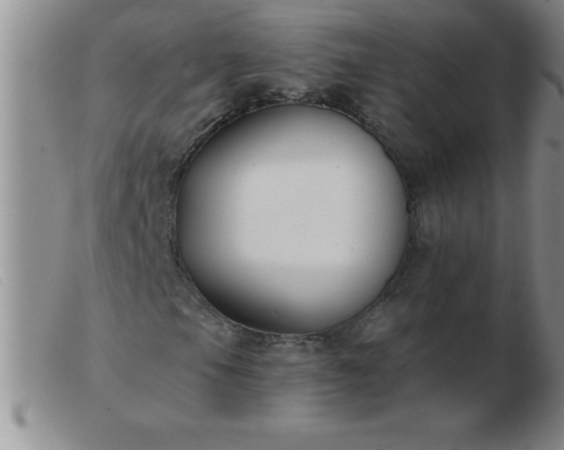 X0000103491105200809191915