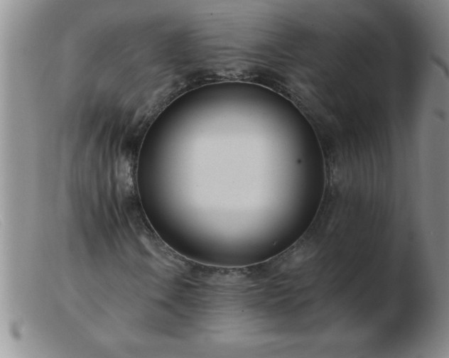 X0000103491106200809191915