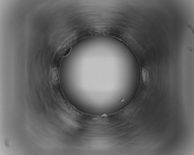 X0000103491107200809191915