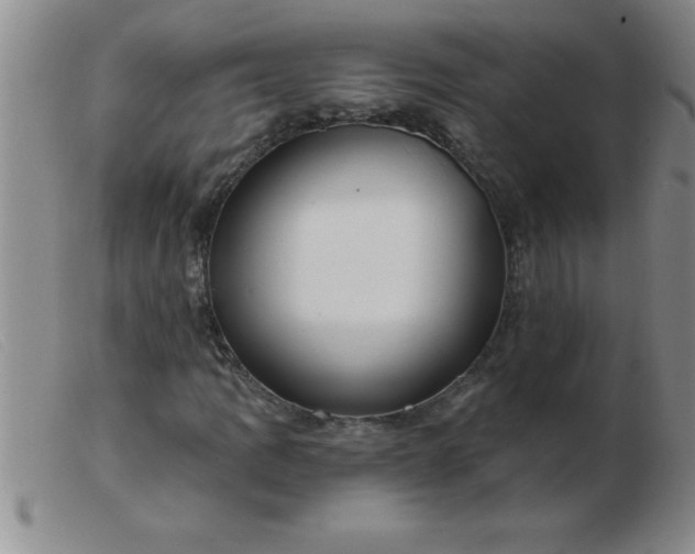 X0000103491109200809191915