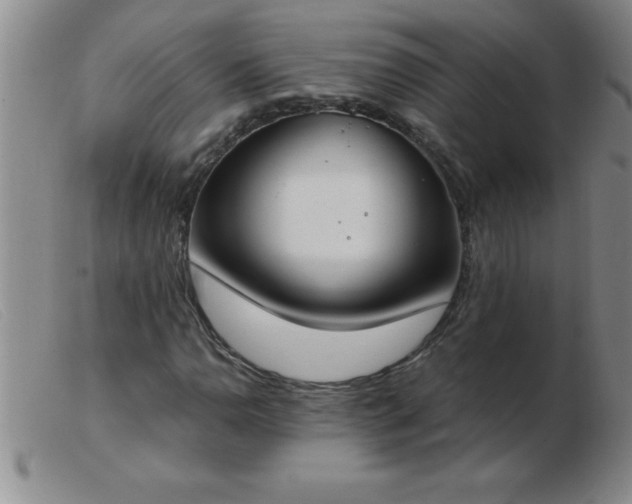 X0000103491110200809191915