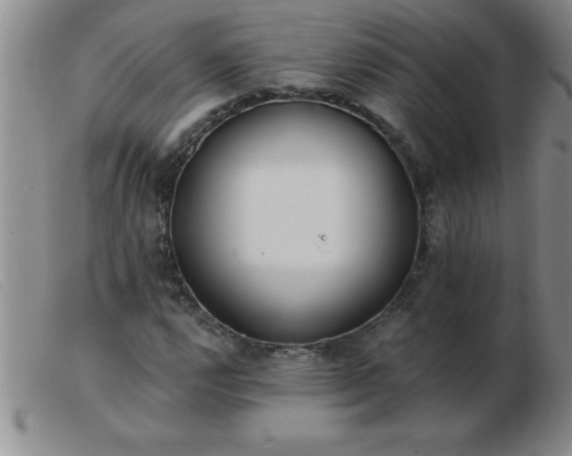 X0000103491112200809191916