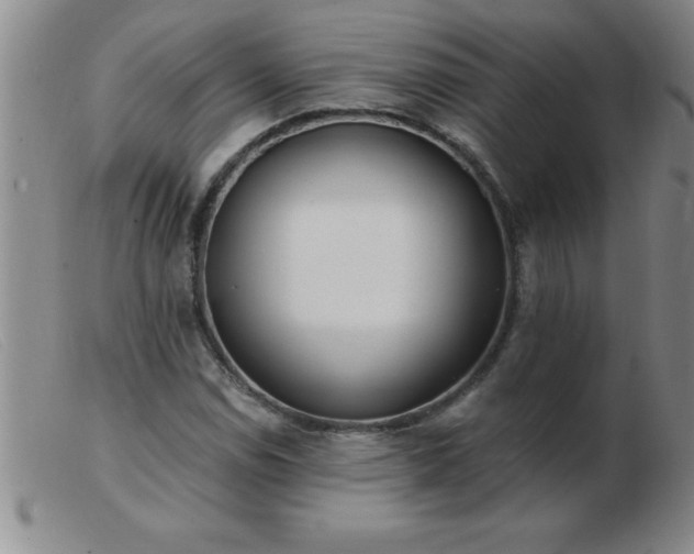 X0000103491114200809191916