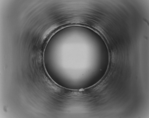 X0000103491115200809191916