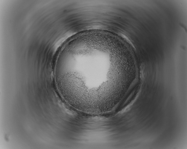 X0000103491117200809191916