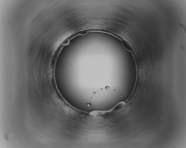 X0000103491119200809191916