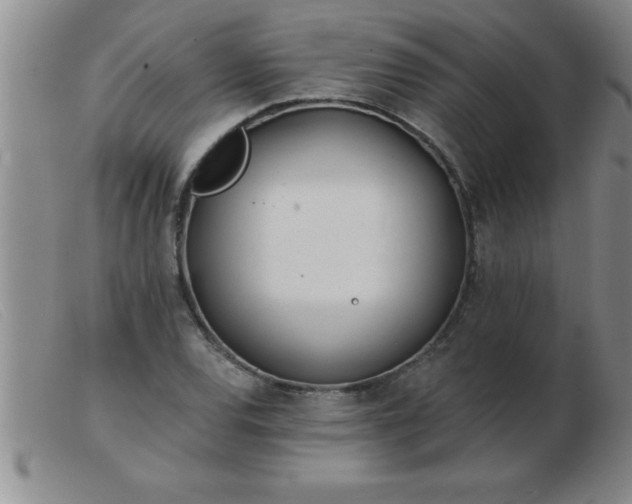 X0000103491120200809191916