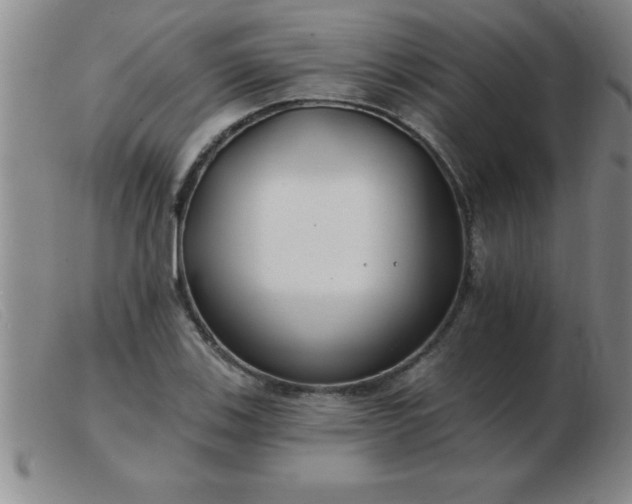 X0000103491123200809191916