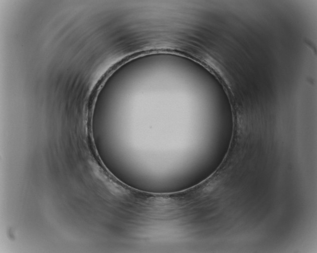 X0000103491124200809191916