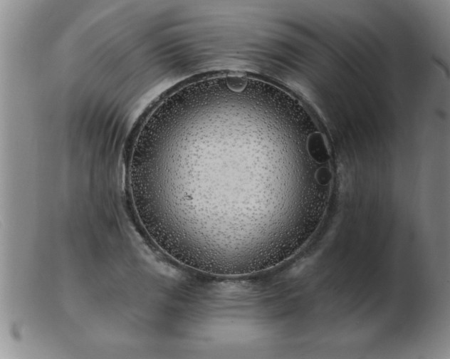 X0000103491125200809191916