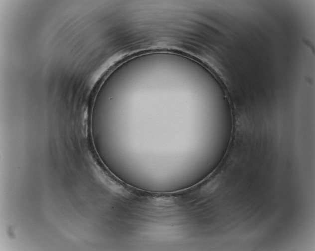 X0000103491126200809191916