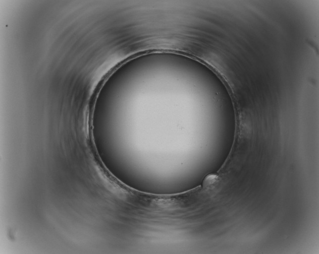 X0000103491128200809191916