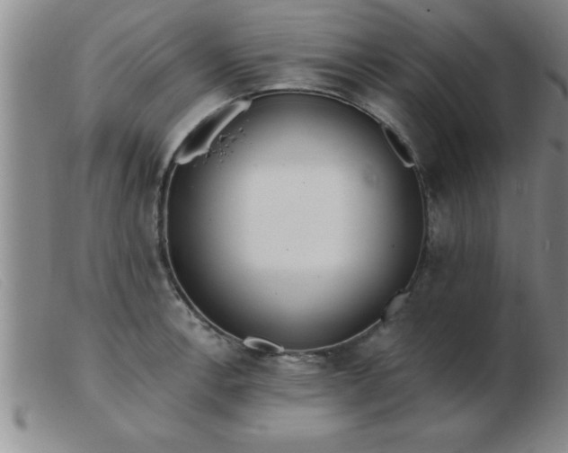 X0000103491138200809191916