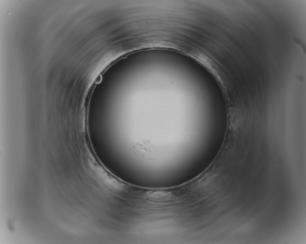 X0000103491140200809191916