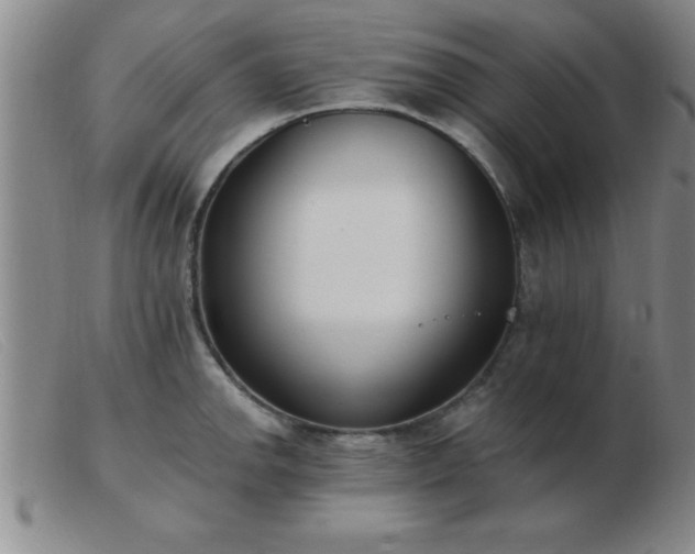 X0000103491142200809191916