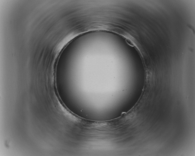 X0000103491143200809191916