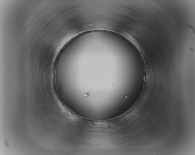 X0000103491144200809191916