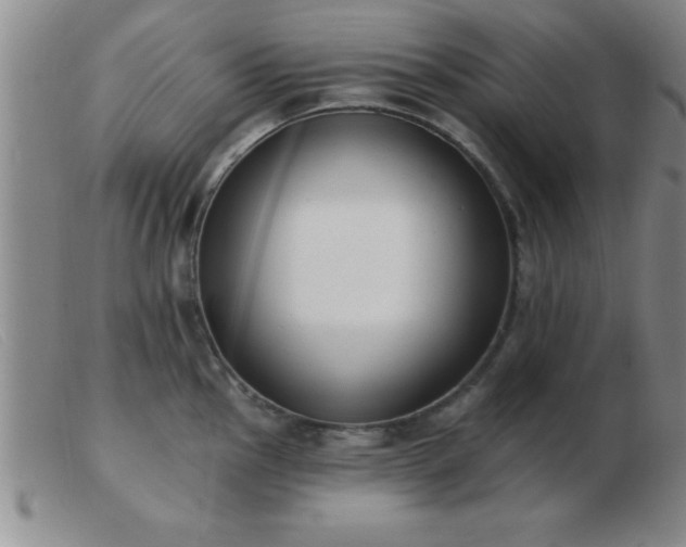 X0000103491145200809191916