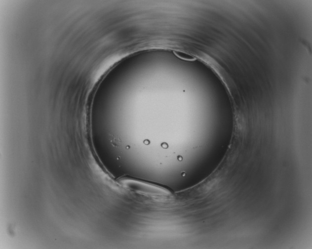 X0000103491147200809191916