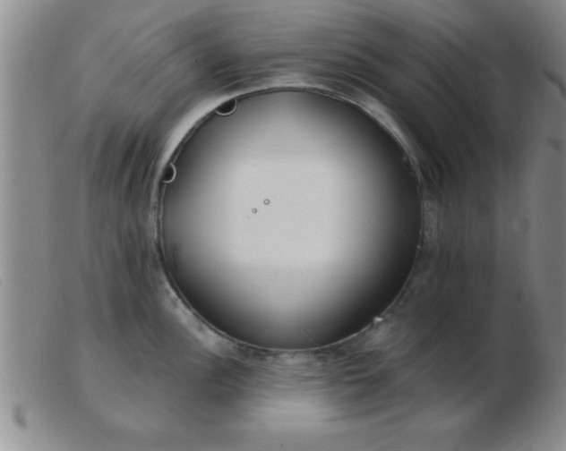 X0000103491148200809191916