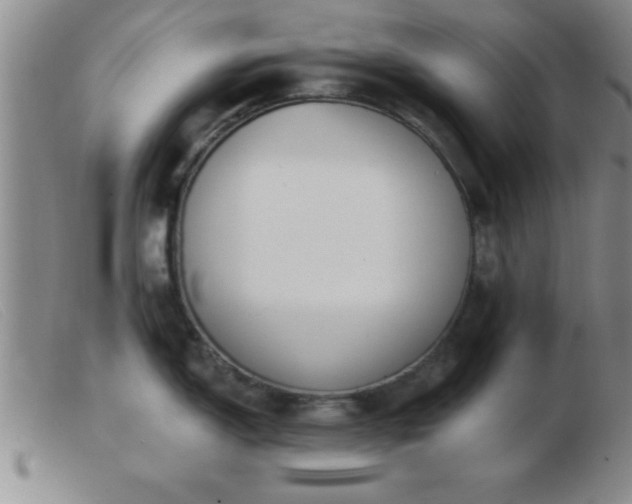 X0000103491150200809191916