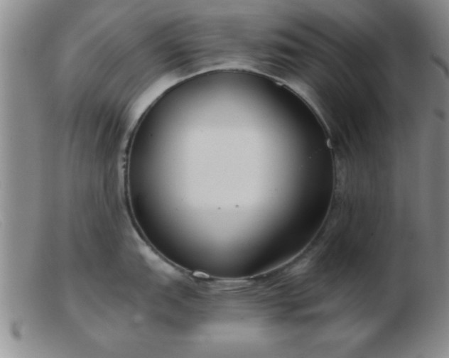 X0000103491151200809191916