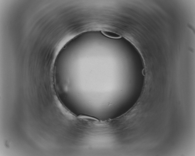 X0000103491152200809191916