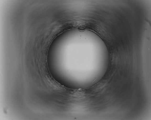 X0000103491153200809191915