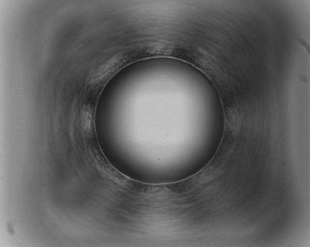 X0000103491154200809191915