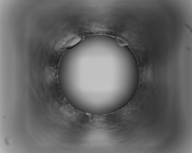 X0000103491157200809191915