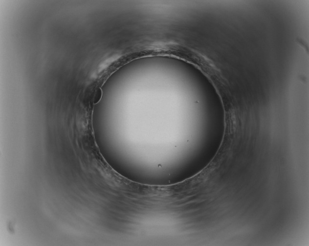 X0000103491158200809191915