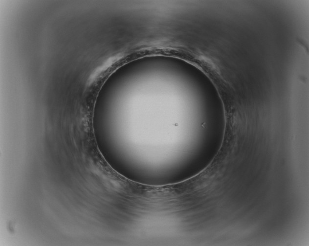 X0000103491159200809191915