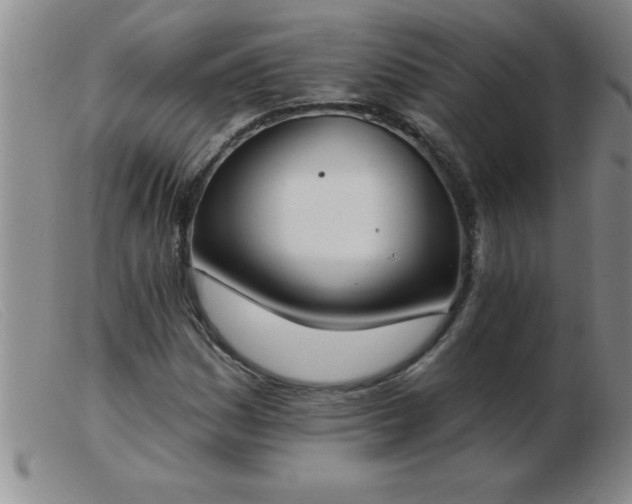 X0000103491161200809191915