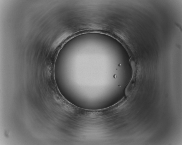 X0000103491163200809191915