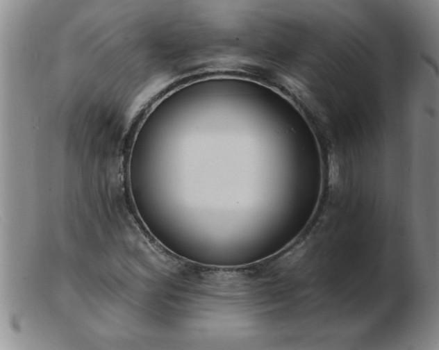 X0000103491164200809191915