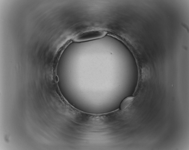 X0000103491165200809191915