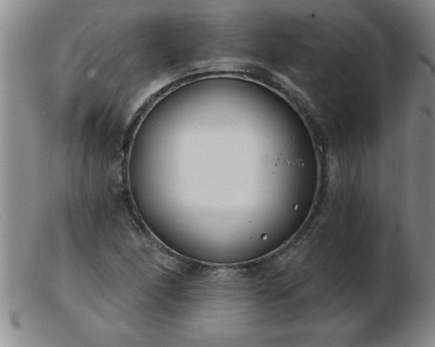 X0000103491166200809191915