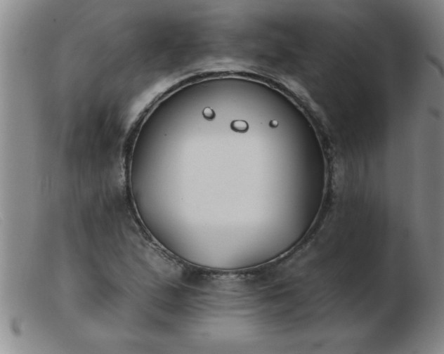 X0000103491167200809191915