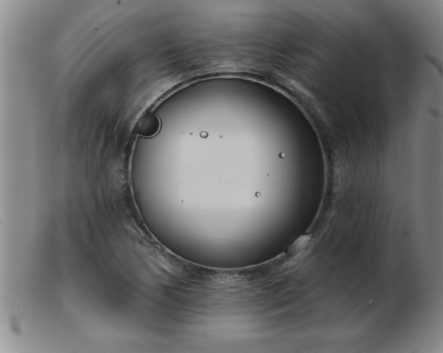 X0000103491170200809191915