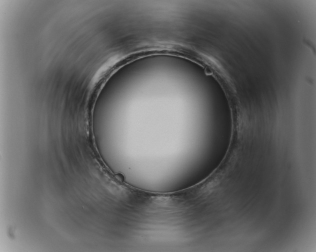 X0000103491172200809191915