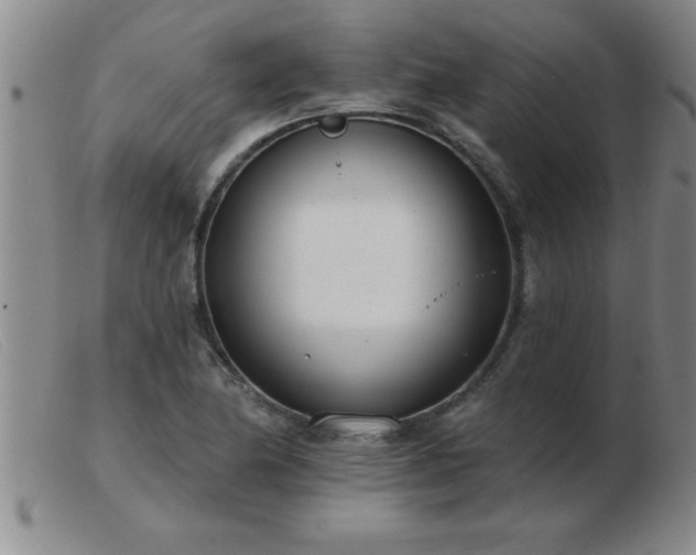 X0000103491174200809191915